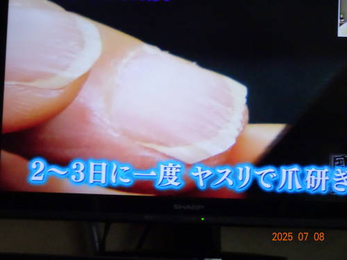 DSC00054
