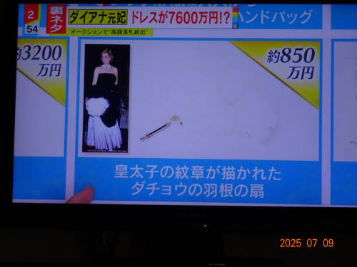 DSC00288