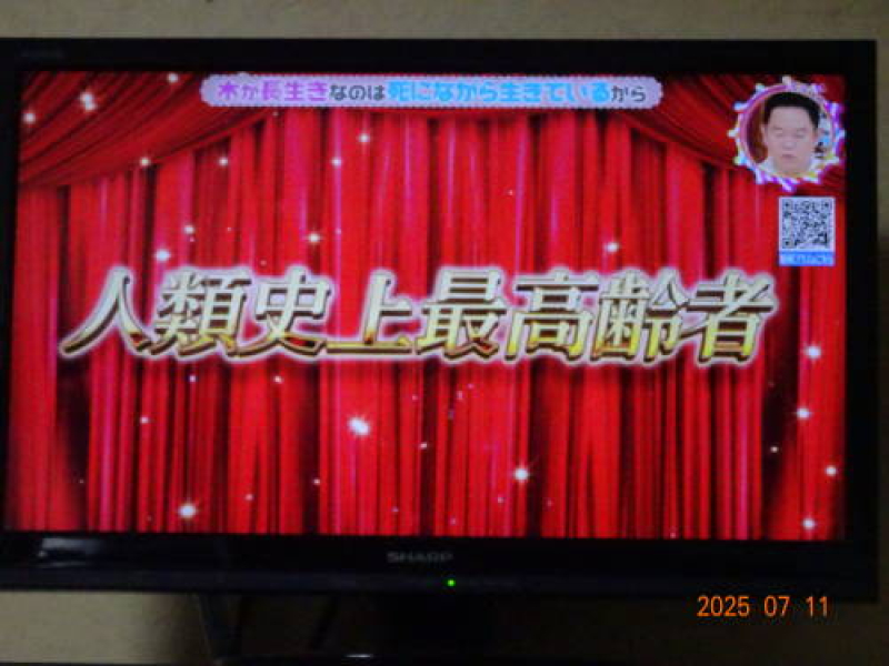 DSC00703