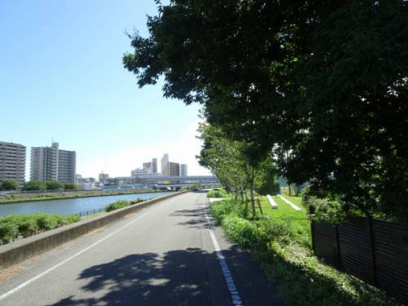 DSC00419