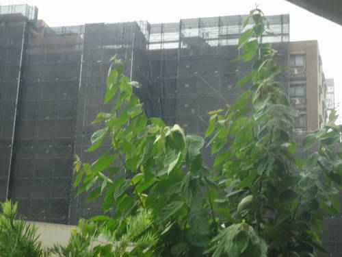 DSC03240