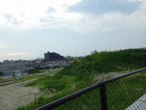 DSC03942