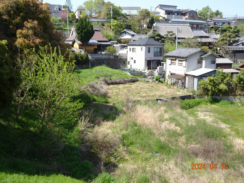 DSC00606