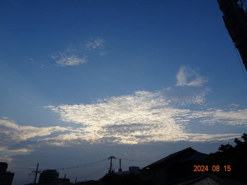 DSC03283