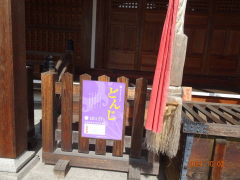 DSC08268 DSC08268