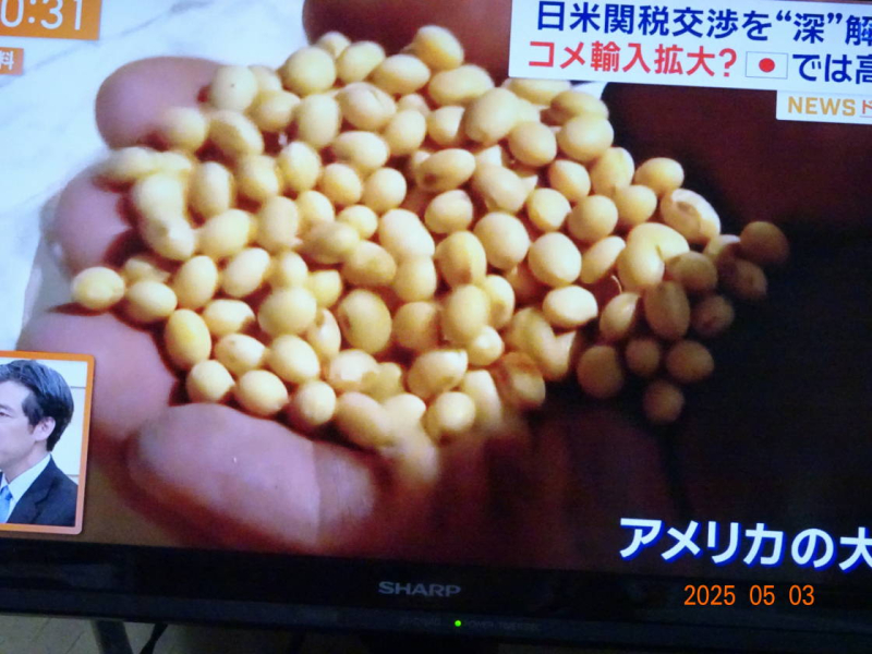 DSC04400