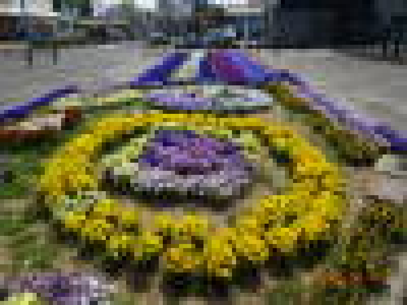 DSC09531
