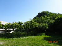 DSC04958