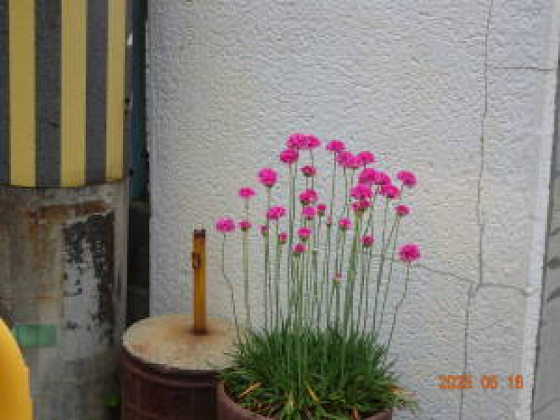 DSC05521