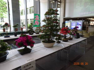 DSC05990