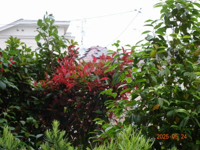 DSC06208