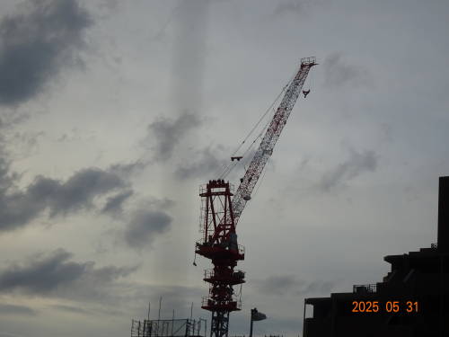 DSC07049