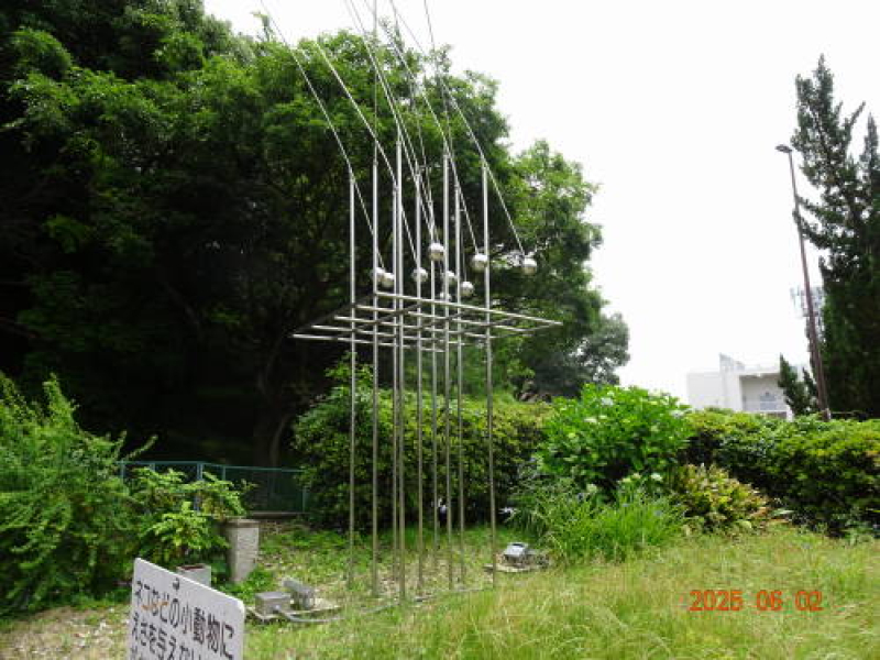 DSC09739