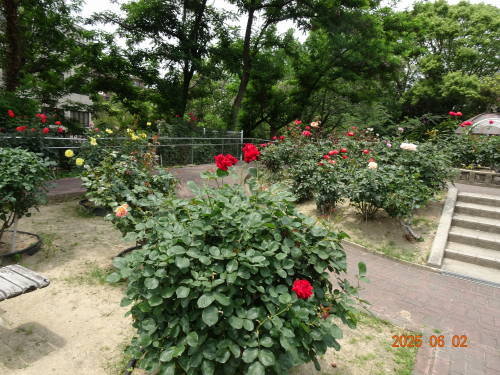 DSC09743