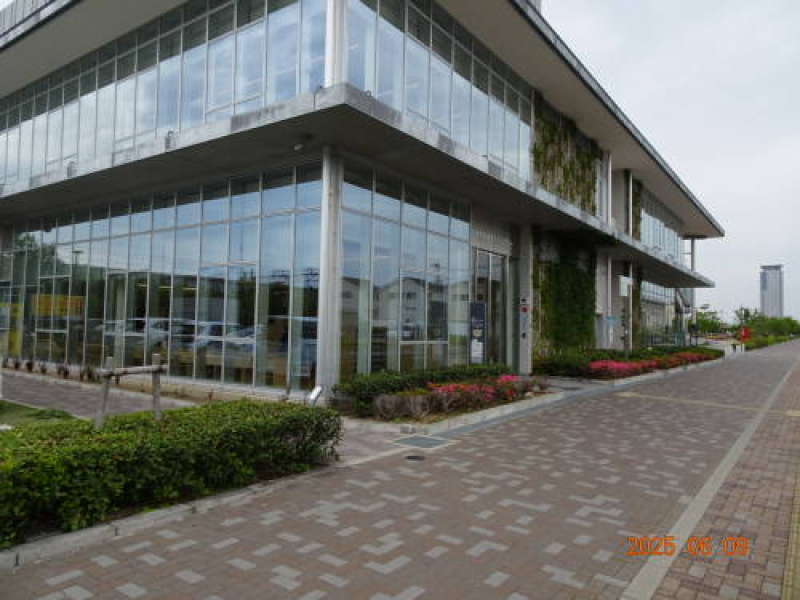 DSC07354