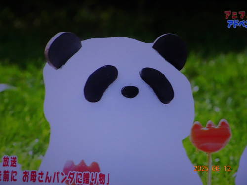 DSC07500