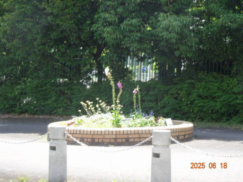 DSC08147