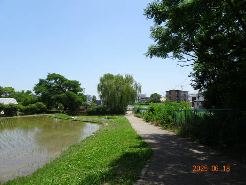 DSC08205