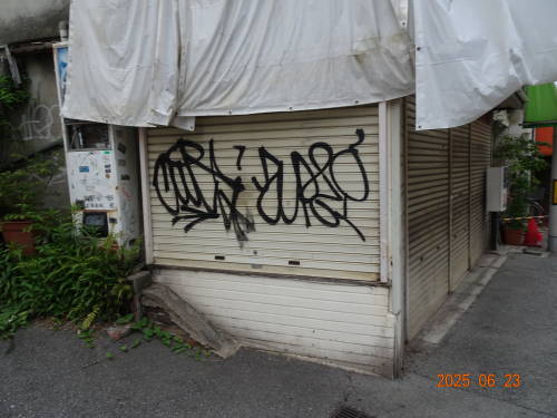 DSC08656