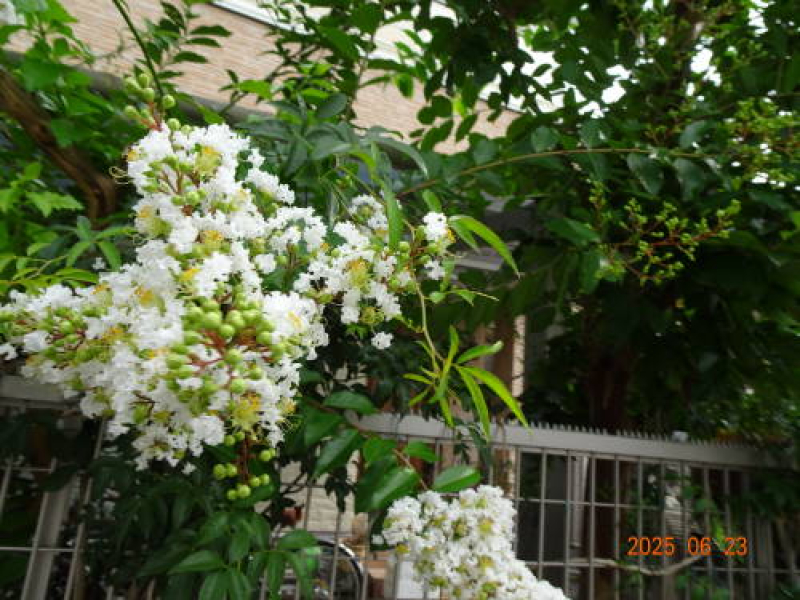 DSC08714