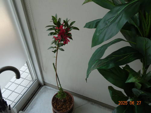 DSC09191