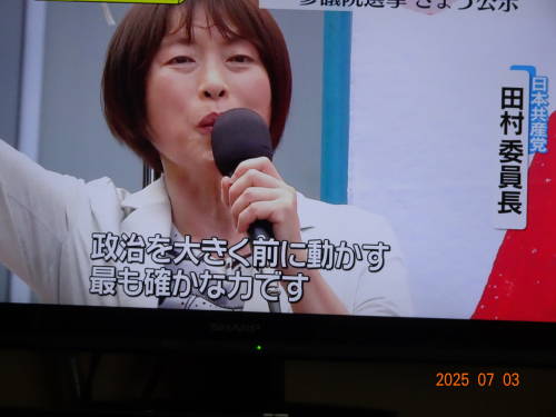 DSC00054