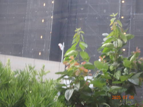 DSC00214