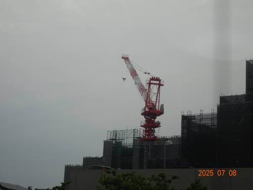 DSC09991