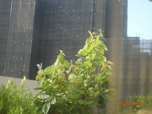 DSC00461