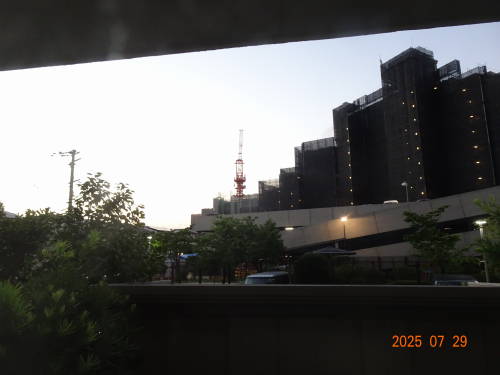DSC03207