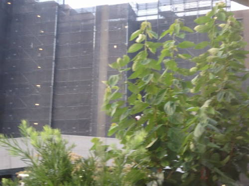 DSC03734