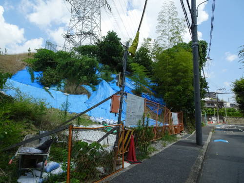 DSC04219