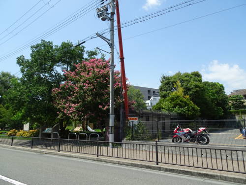 DSC04266