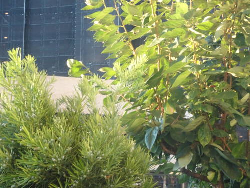 DSC06160