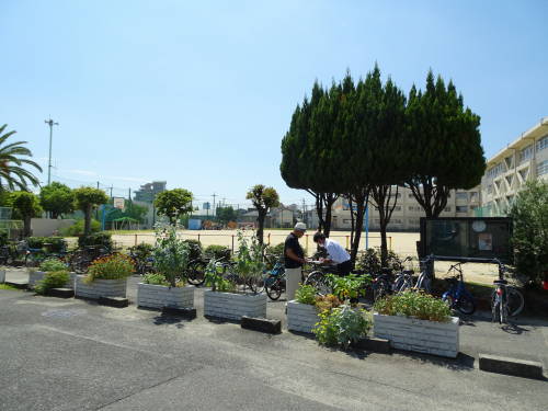DSC07496