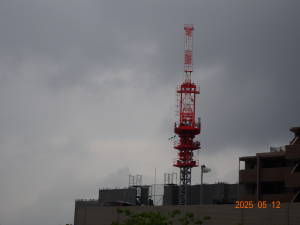 DSC05233
