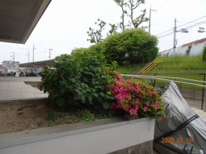 DSC05498