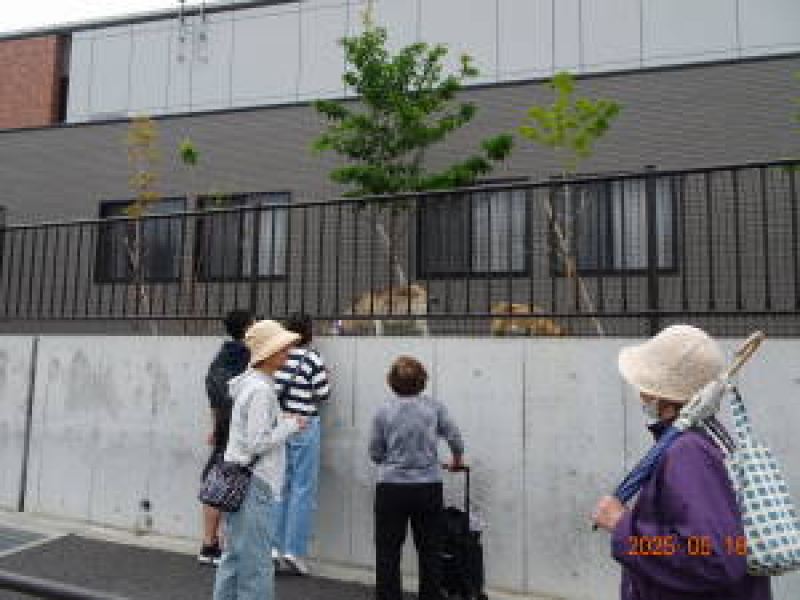 DSC05556
