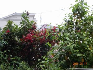 DSC05718