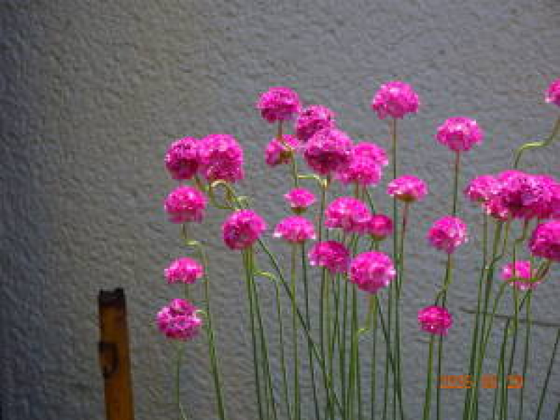 DSC05972