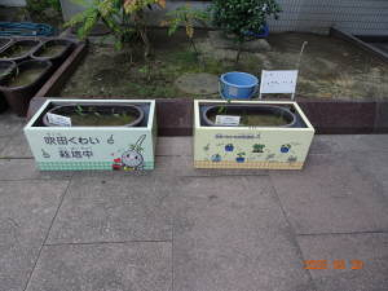 DSC05980