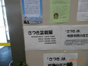 DSC06006