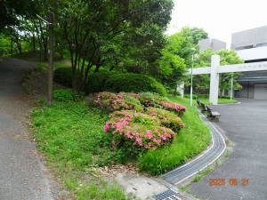 DSC06098