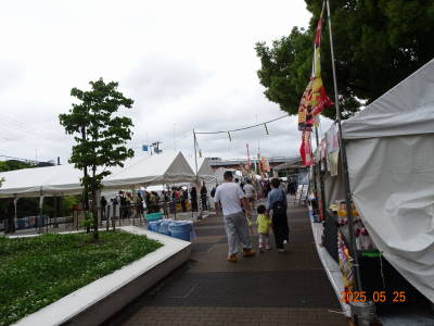 DSC06241