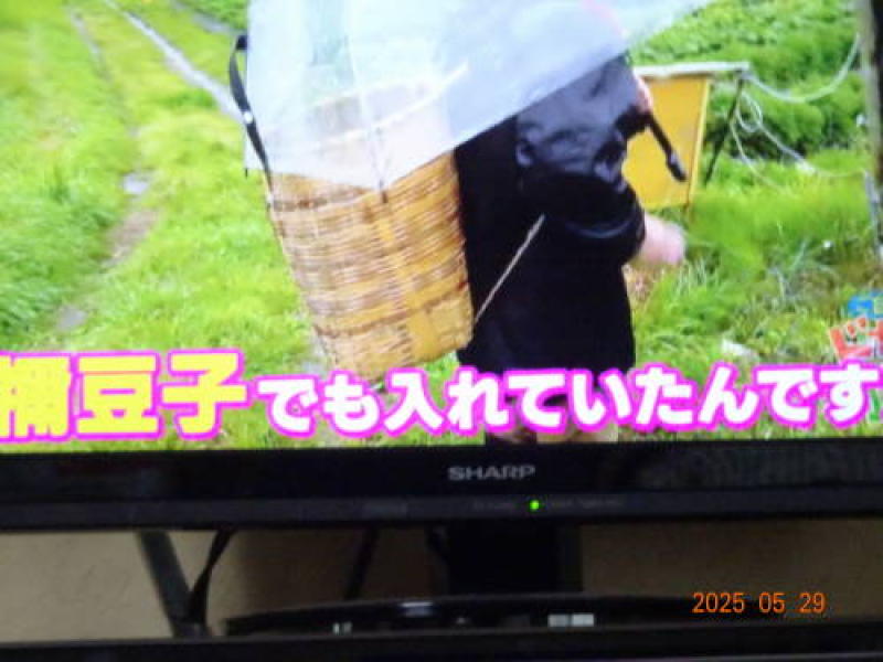 DSC07018