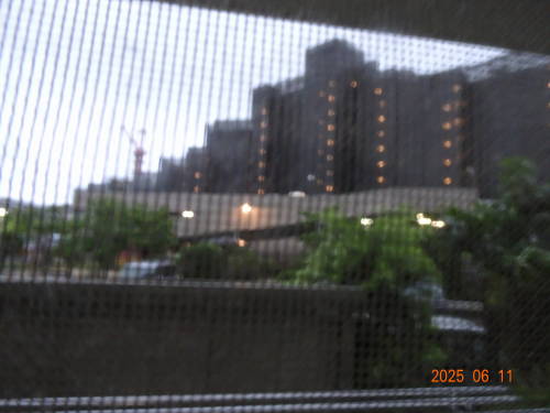 DSC09800