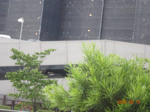 DSC07537