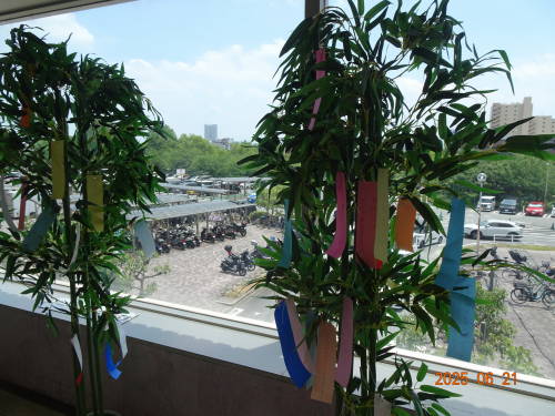 DSC08483