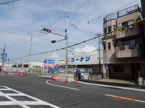 DSC08566
