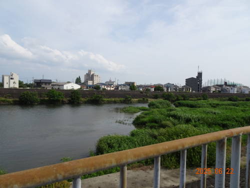 DSC08575